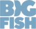 Big Fish Games
