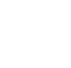The NPC Guild