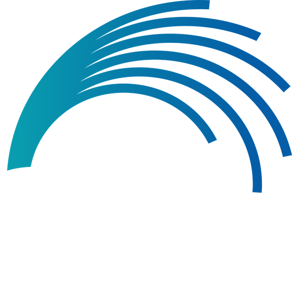 Academy of Interactive Entertainment (AIE)